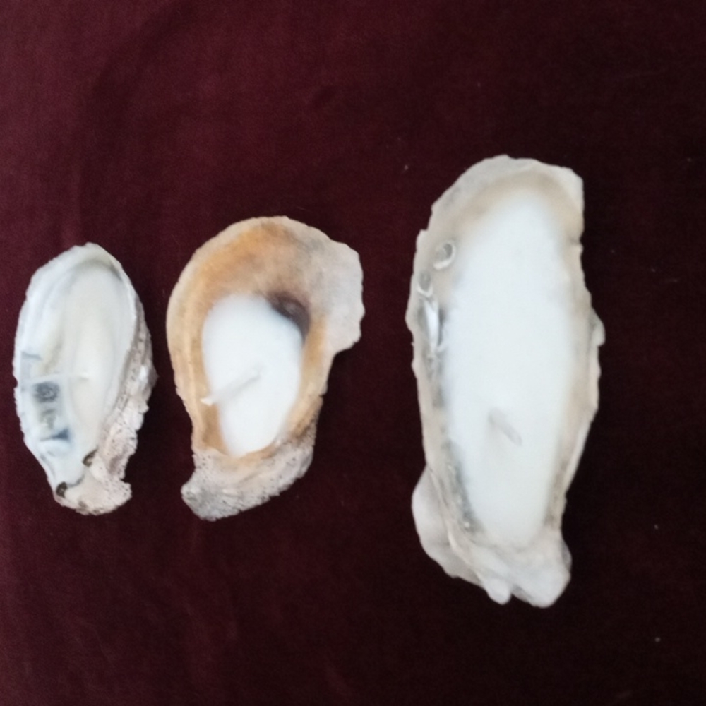 3 oyster shell candles